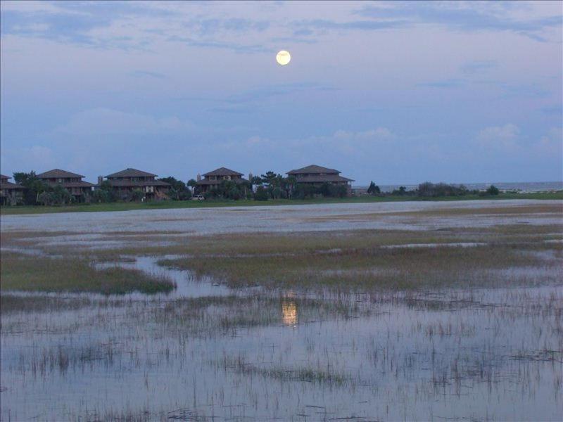 Four-Bedroom House With Great View! Pool Across The Street! Hunting Island Pass! Harbor Island ภายนอก รูปภาพ